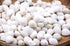 White Moon Shells - 1 Kg